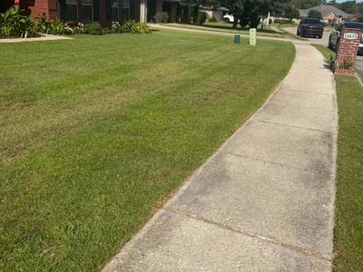 Lawn Care service in ,