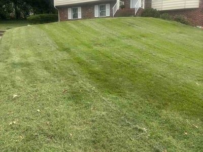 Lawn Care service in Powhatan, 23139