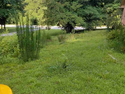 Lawn Care service in Auburn, 30011