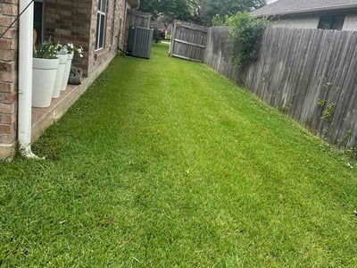 Lawn Care service in College Station, 77840