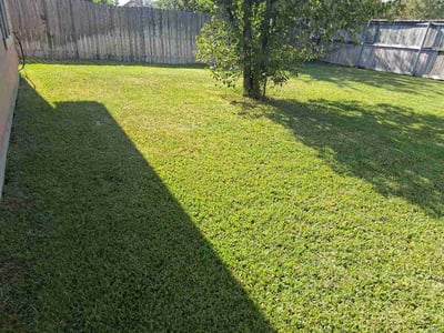Lawn Care service in College Station, 77840