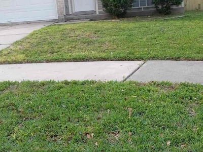 Lawn Care service in Chico, 95928