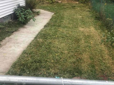 Lawn Care service in Kingston, 02364