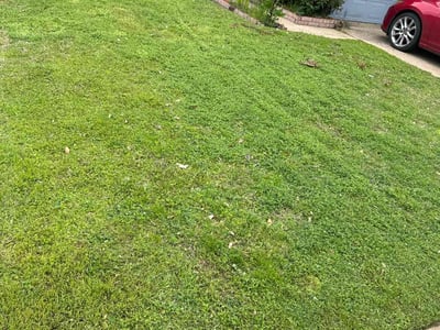 Lawn Care service in Arlington, 02476