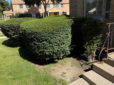 Lawn Care service in Hartland, 53029