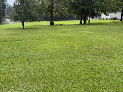 Lawn Care service in Somerville, 02143