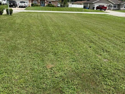 Lawn Care service in Wilmington, 01887