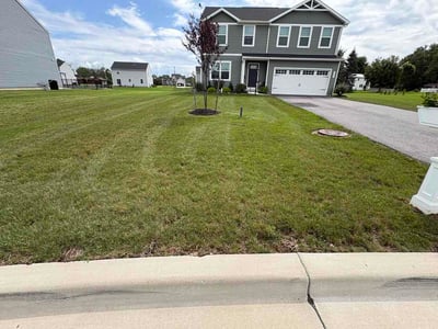 Lawn Care service in Sanborn, 14132