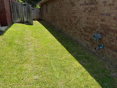 Lawn Care service in Milton, 02186