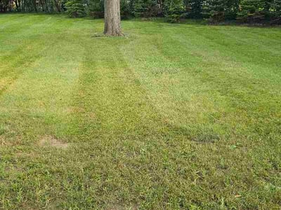 Lawn Care service in Oak Creek, 53154