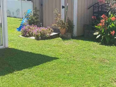 Lawn Care service in Florence, 29506