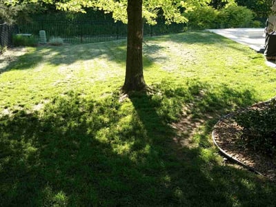 Lawn Care service in Andover, 67002