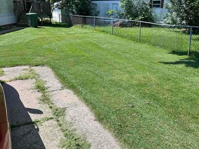 Lawn Care service in East Moline, 61244