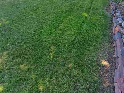 Lawn Care service in Colville, 99114