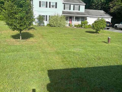 Lawn Care service in Ballston Spa, 12020