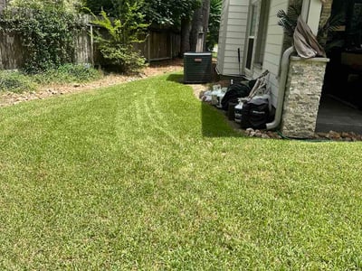 Lawn Care service in Summerlin, 89134