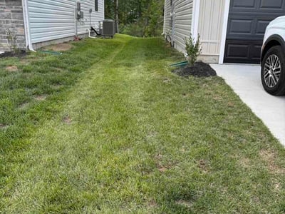 Lawn Care service in La Plata, 20646