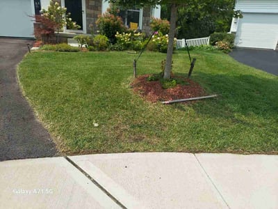 Lawn Care service in Mays Landing, 08330