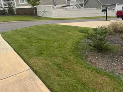 Lawn Care service in Calera, 35040