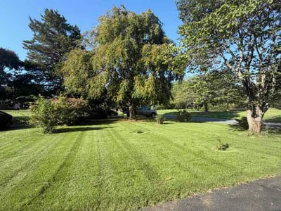 Lawn Care service in Claymont, 19703