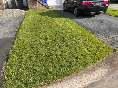 Lawn Care service in Claymont, 19703