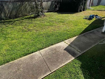 Lawn Care service in Summerlin, 89134