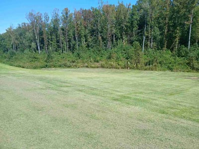Lawn Care service in Morganton, 28655