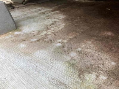 Lawn Care service in Sussex, 53089
