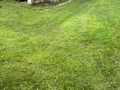 Lawn Care service in Arden, 28704