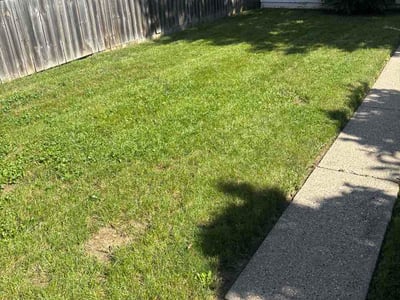 Lawn Care service in Mukwonago, 53149