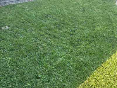 Lawn Care service in Mukwonago, 53149
