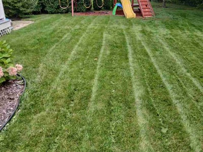 Lawn Care service in Grafton, 53024