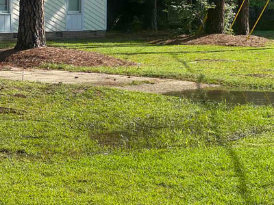 Lawn Care service in Arden, 28704