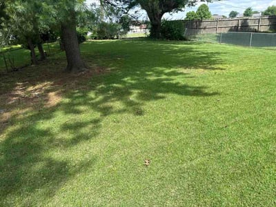Lawn Care service in Florissant, 63031