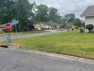 Lawn Care service in Daphne, 36526