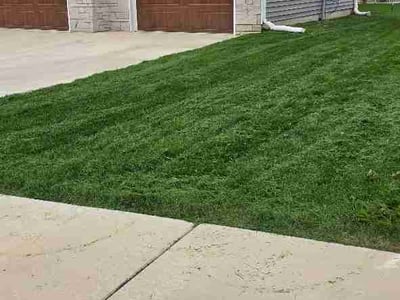 Lawn Care service in Champaign, 61820