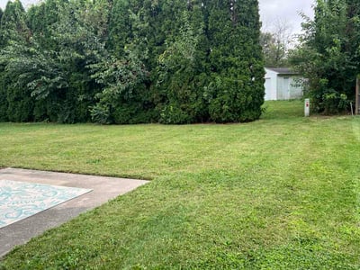 Lawn Care service in Champaign, 61820