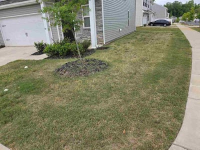 Lawn Care service in Renton, 98057