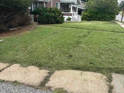 Lawn Care service in Overland, 63114