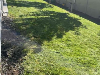 Lawn Care service in Caldwell, 83605
