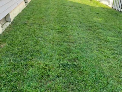 Lawn Care service in Phillipsburg, 08865
