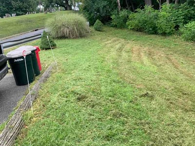 Lawn Care service in Phillipsburg, 08865