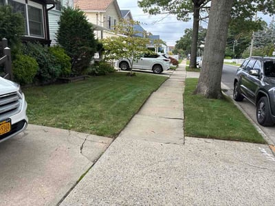 Lawn Care service in Farmingdale, 11735