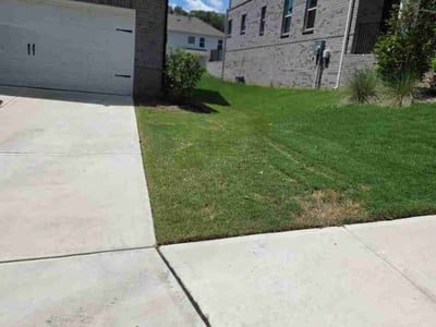 Lawn Care service in Oroville, 95965