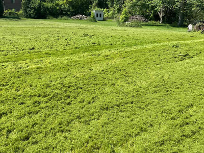 Lawn Care service in Irondeqoit, 14622