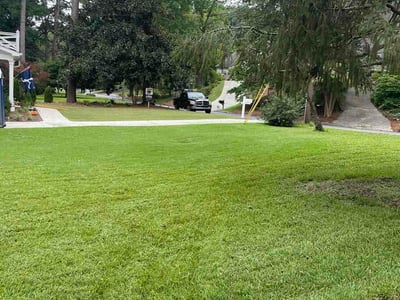 Lawn Care service in Pell City, 35125