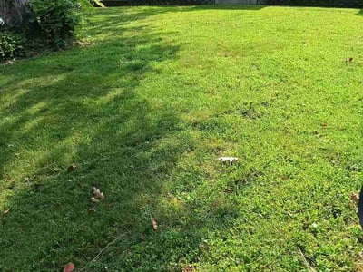 Lawn Care service in Cookeville, 38501