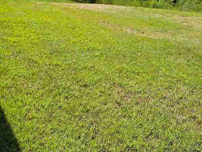Lawn Care service in Jasper, 35501