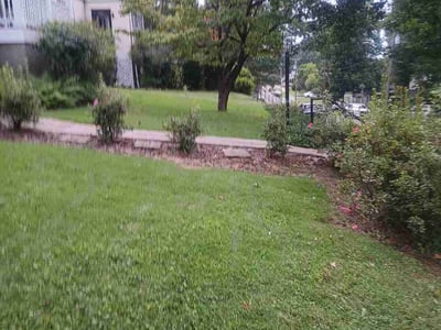 Lawn Care service in Jasper, 35501