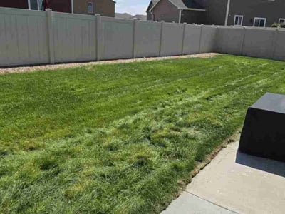 Lawn Care service in Eugene, 97401